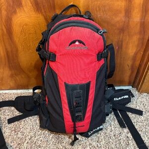 Dakine Heli Pro